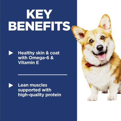 Hill's Science Diet Dog Dry Food Small Bites Chicken & Barley Recipe