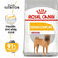 ROYAL CANIN Adult Dry Dog Food Medium Dermacomfort