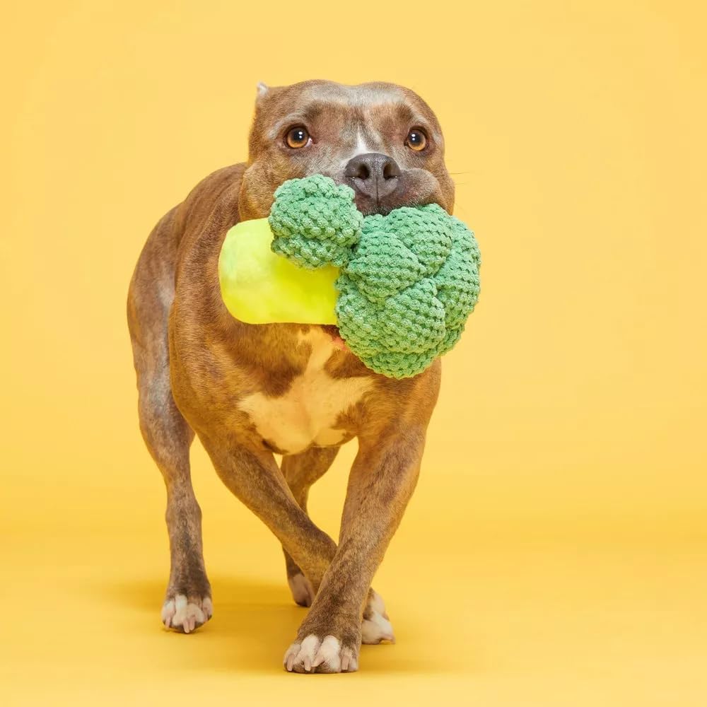 BARK Punk Brocc Plush Squeaky Dog Toy