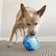 KONG Treat Dispensing Dog Toy Rewards Ball