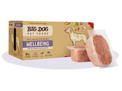 Big Dog Raw Food For Dogs Wellbeing Raw Diet 3Kg