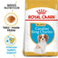 ROYAL CANIN Cavalier King Charles Puppy Dry Dog Food 1.5Kg