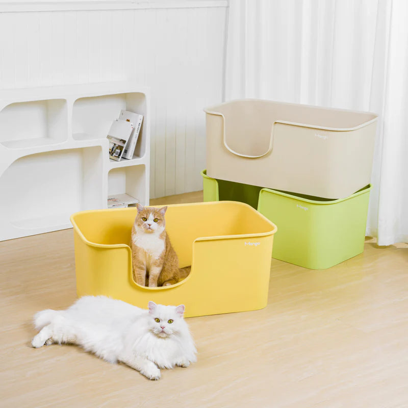 Nvr miss litter fashion box