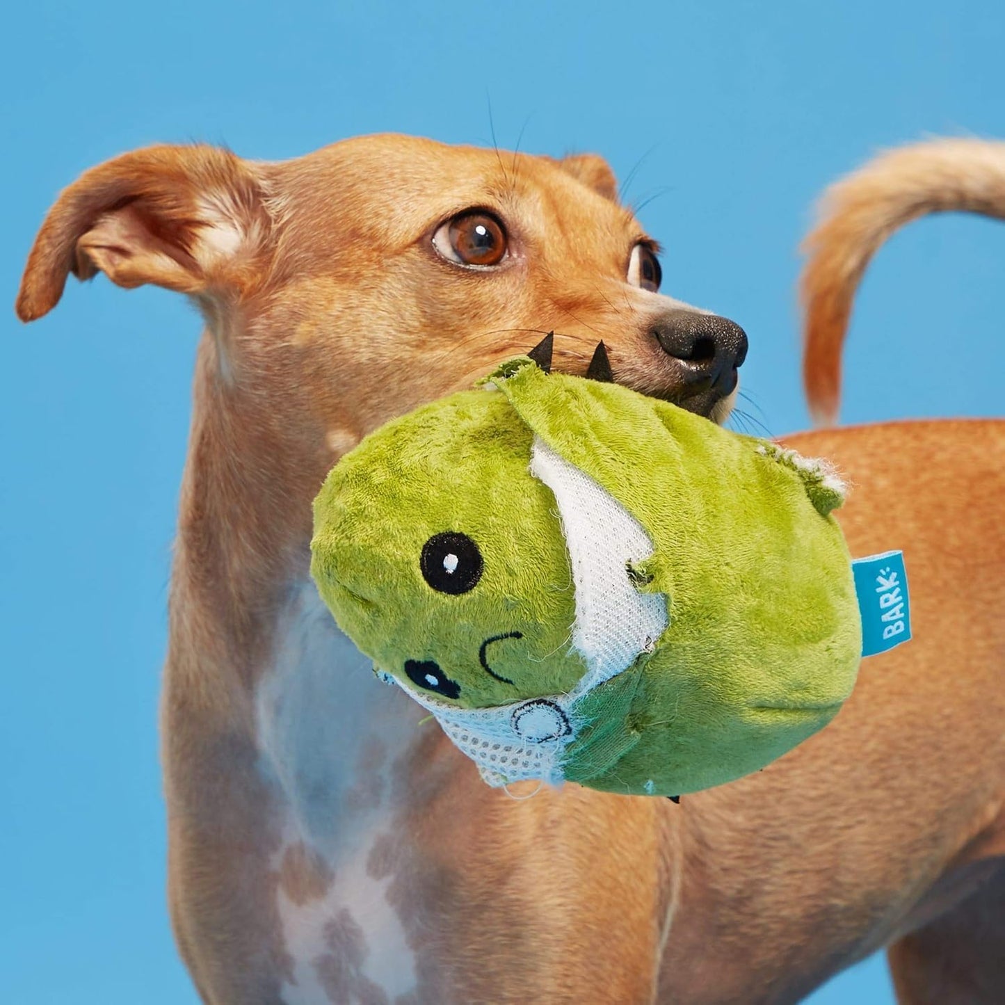 BARK Consuela The Cactus Rip & Reveal Plush Squeaky Dog Toy