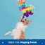 BARK Renata Pinata Plush Squeaky Dog Toy