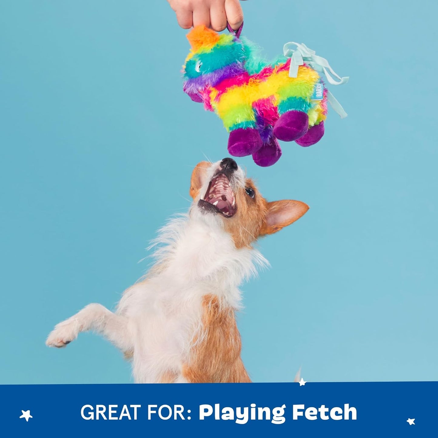 BARK Renata Pinata Plush Squeaky Dog Toy