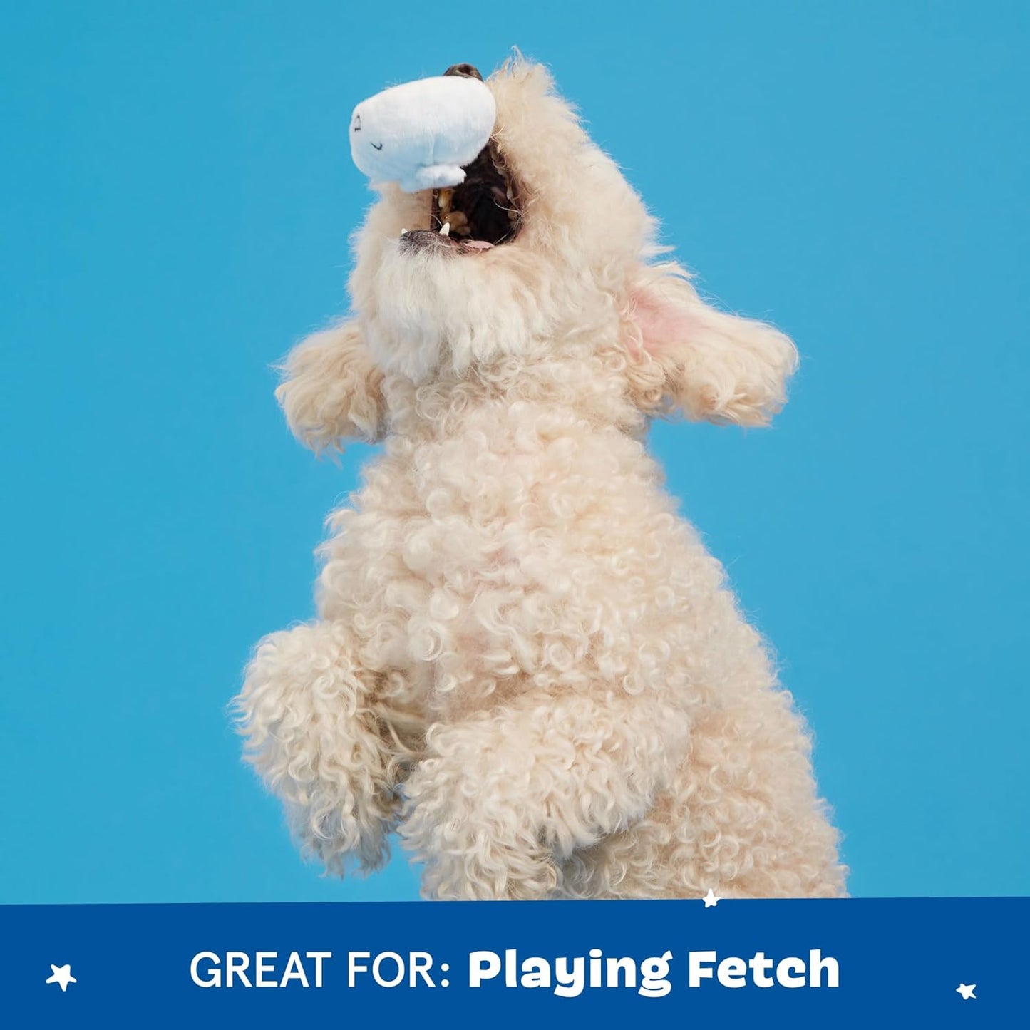 BARK Andi's Famous Dumplings 2-in-1 Interactive Plush Squeaky Dog Toy