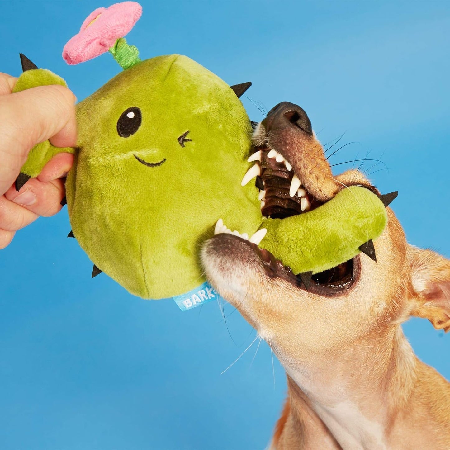 BARK Consuela The Cactus Rip & Reveal Plush Squeaky Dog Toy