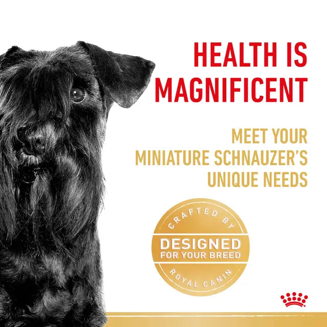 ROYAL CANIN Miniature Schnauzer Adult Dry Dog Food