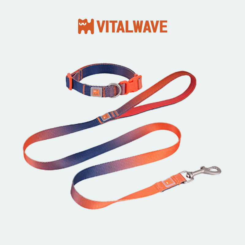 VITALWAVE Dreamfade Dog Collar & Leash Set