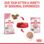 ROYAL CANIN Kitten Loaf Wet Cat Food 85g x 12