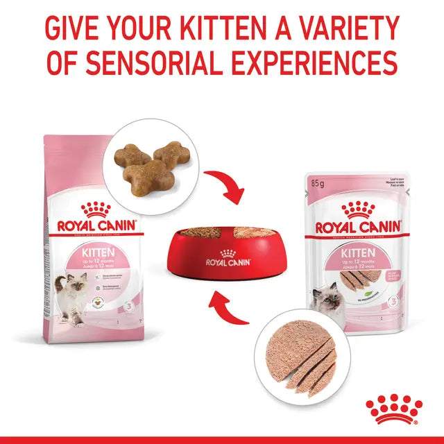 ROYAL CANIN Kitten Loaf Wet Cat Food 85g x 12