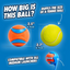 Chuckit! Dog Toy Ultra Balls Medium 2 Pack