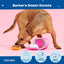 BARK Barker’s Dozen Donuts 4-in-1 Plush Squeaky Crinkly Dog Toy
