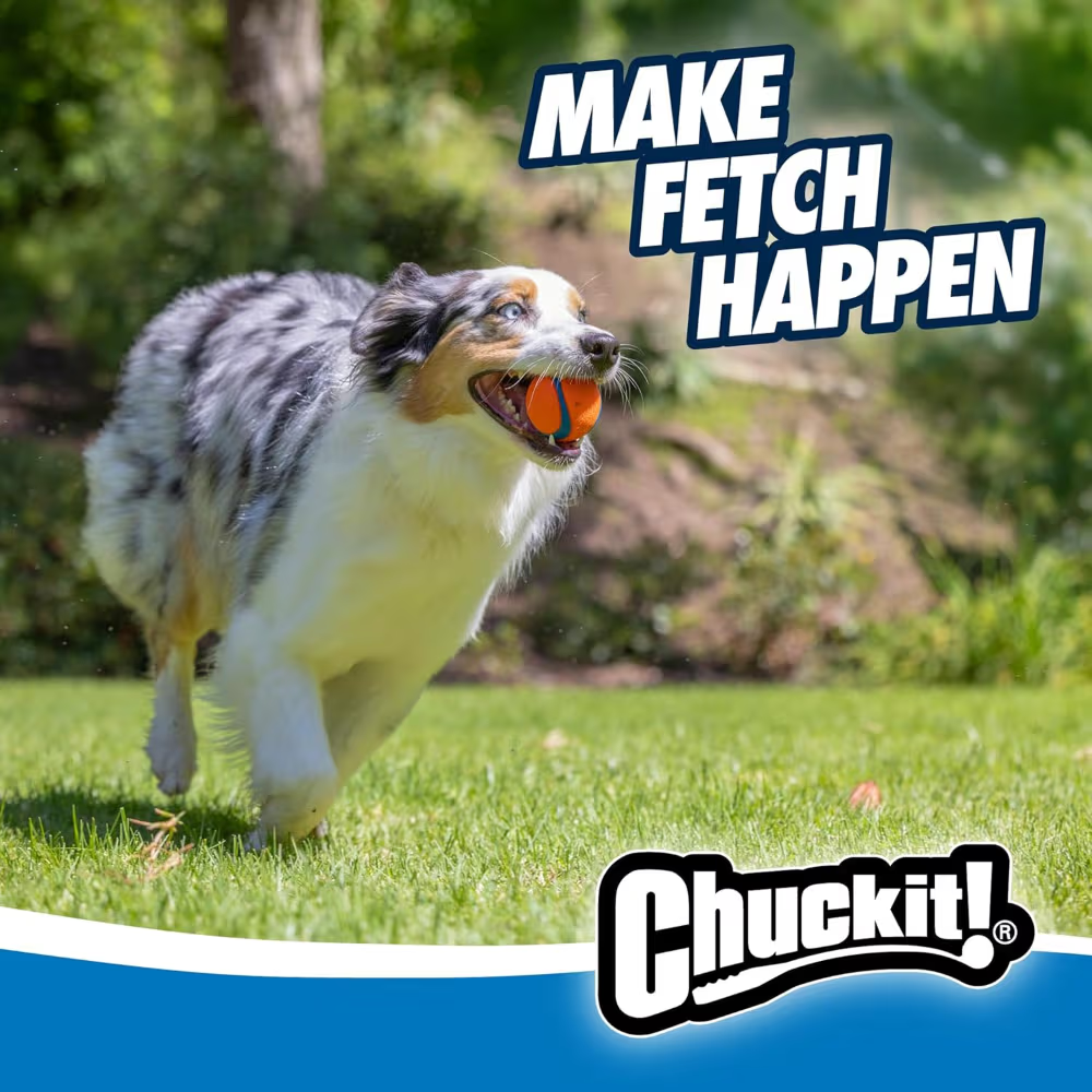 Chuckit! Dog Toy Ultra Balls Medium 2 Pack