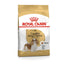 ROYAL CANIN Cavalier King Charles Adult Dry Dog Food