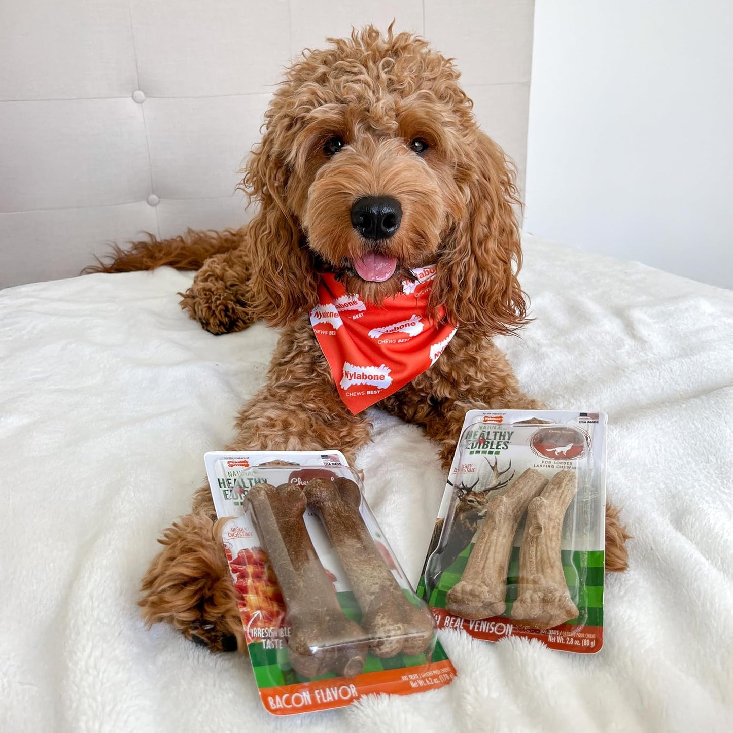 Nylabone Dog Chew Treats Healthy Edibles Wild Venison Antler