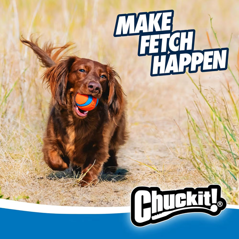 Chuckit! Dog Toy Ultra Balls Small 2 Pack