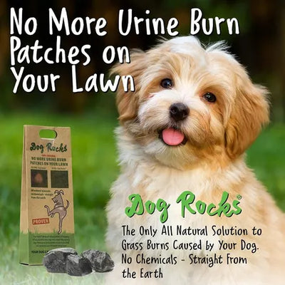 Dog Rocks Lawn Protector 600g