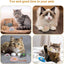 Catnip-Filled Mice Toys For Cats 3PK