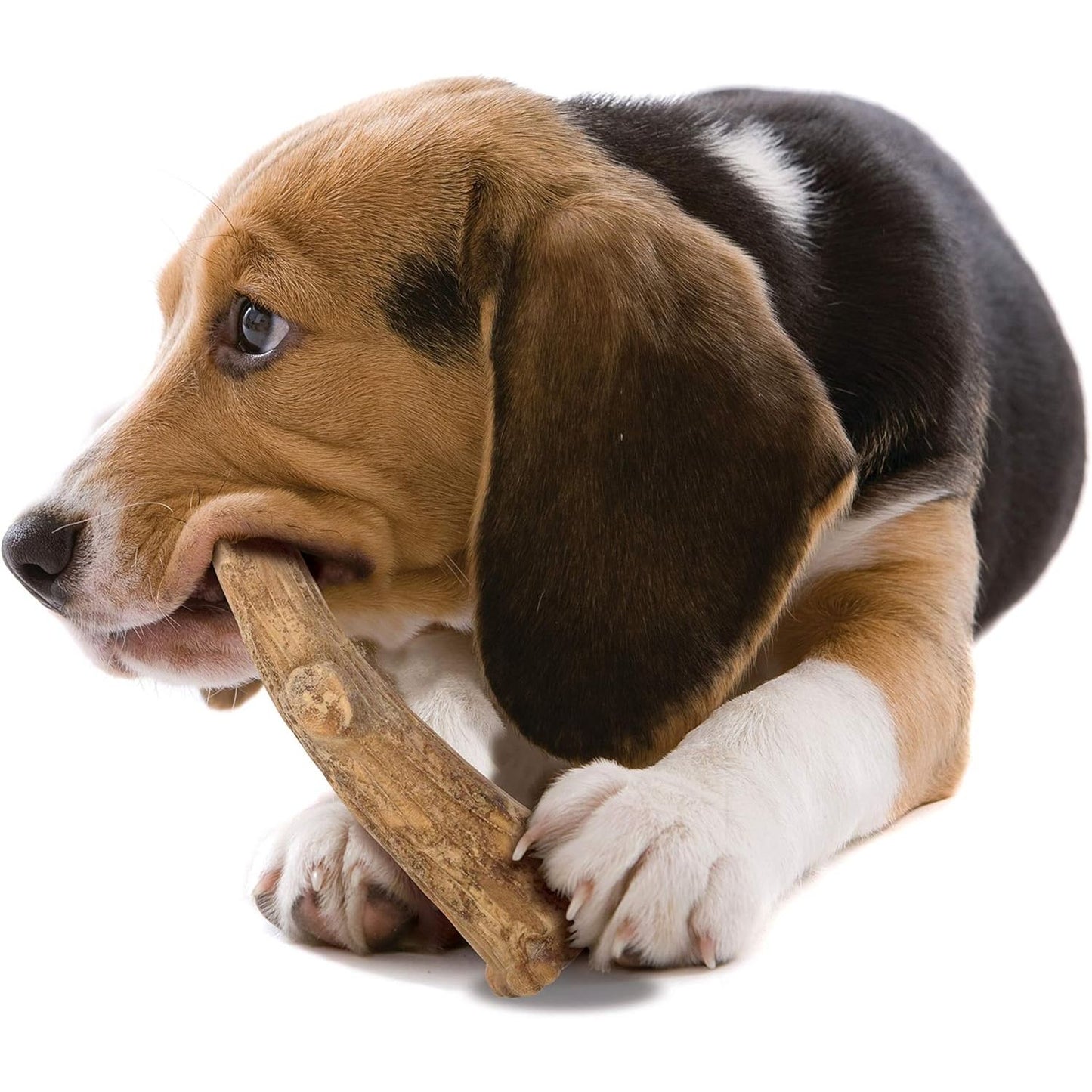 Nylabone Dog Chew Treats Healthy Edibles Wild Venison Antler