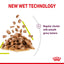 ROYAL CANIN Sensory Smell Chunks in gravy Adult Wet Cat Food 85g x 12