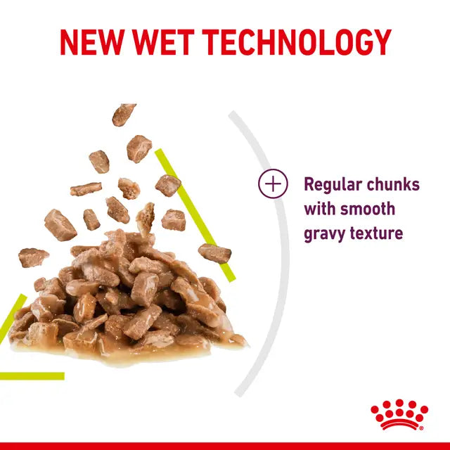 ROYAL CANIN Sensory Smell Chunks in gravy Adult Wet Cat Food 85g x 12