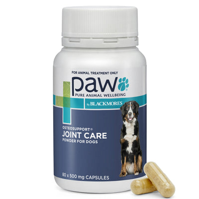 PAW by Blackmores Osteosupport Joint Care Powder For Dogs 80 x 500mg Capsules