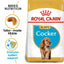 ROYAL CANIN Cocker Spaniel Puppy Dry Dog Food 3Kg