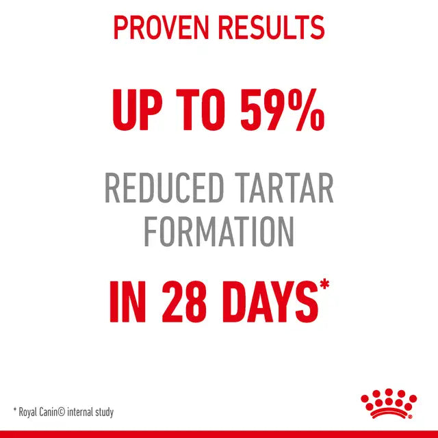 ROYAL CANIN Dental Care Adult Dry Cat Food