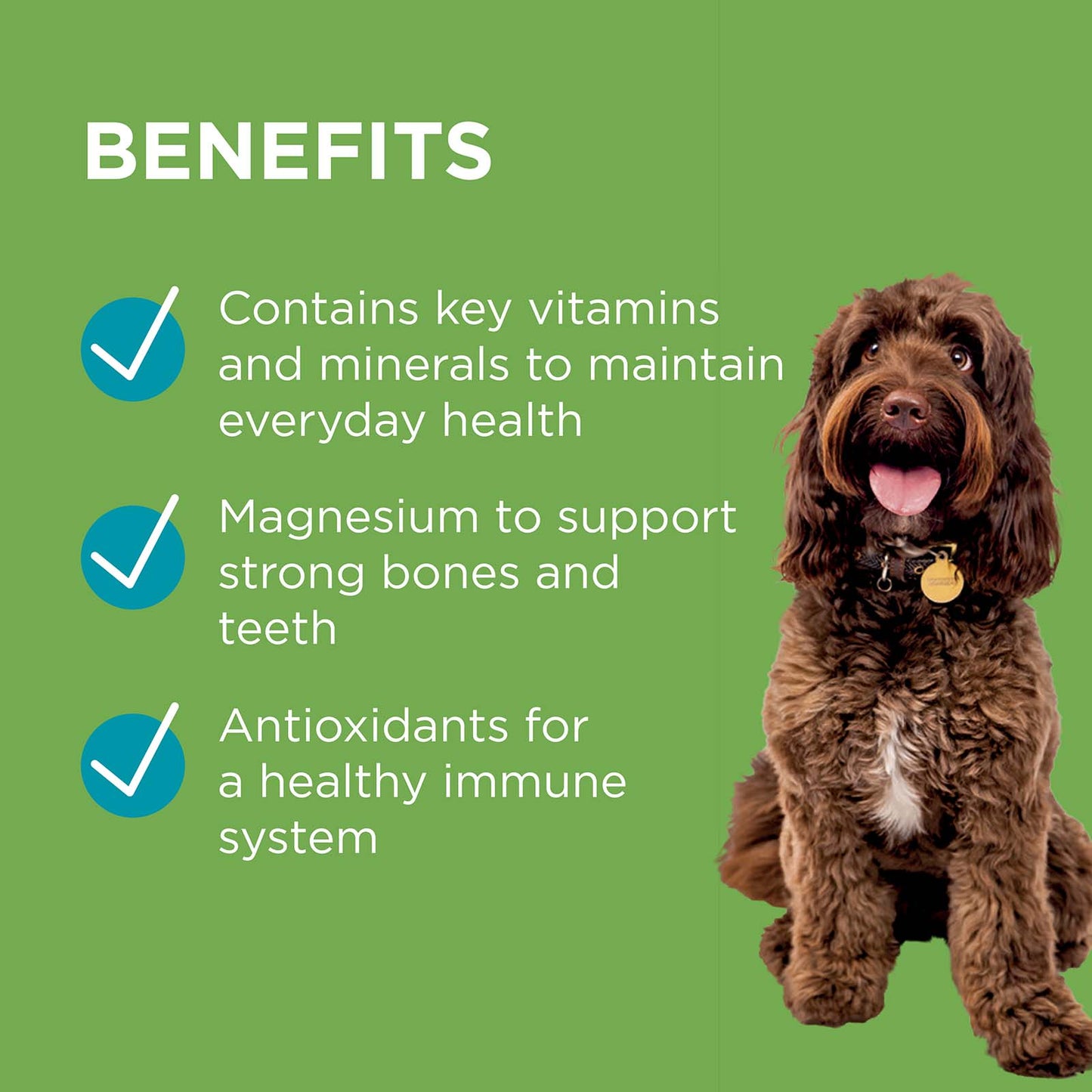 PAW by Blackmores Wellness And Vitality Multi Vitamin For Dogs 300g