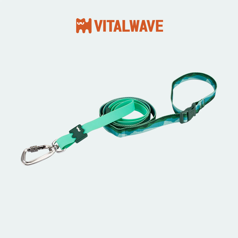 VITALWAVE Tri-Flex Dog Leash