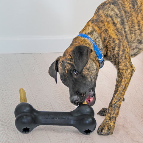 KONG Dog Toy Extreme Goodie Bone XLarge