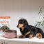 Air Proudi Air Dried Dog Food - Turkey & Chicken