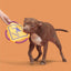 BARK Australian Outbark Collection Kangaroo Tossing Tough Flying Disc Dog Toy