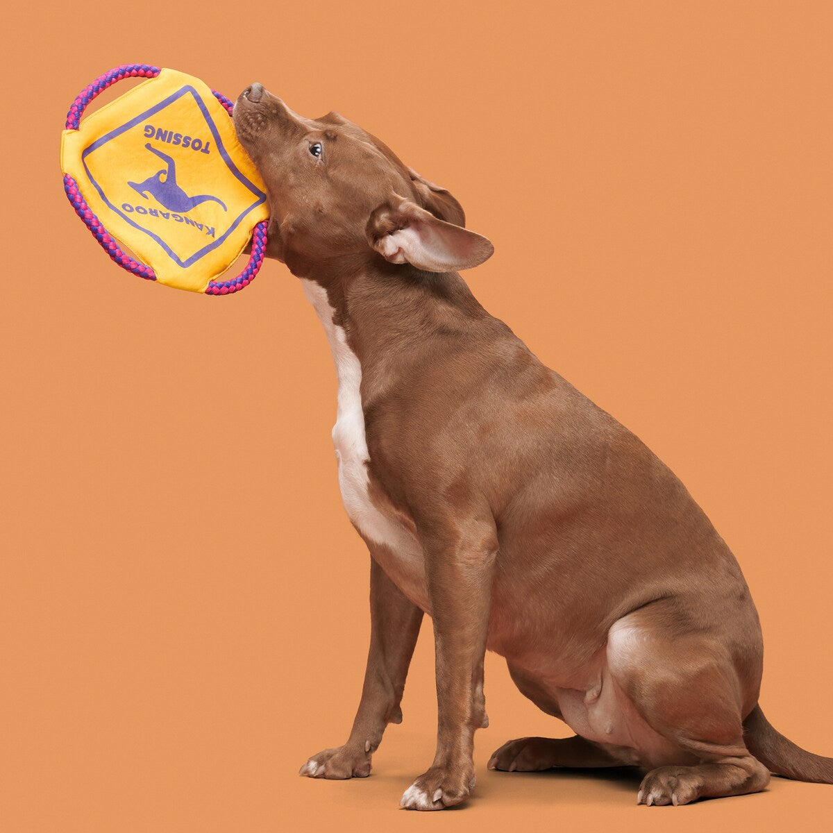 BARK Australian Outbark Collection Kangaroo Tossing Tough Flying Disc Dog Toy