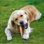 Fuzzl Dog Toy Coffee Wood Stix