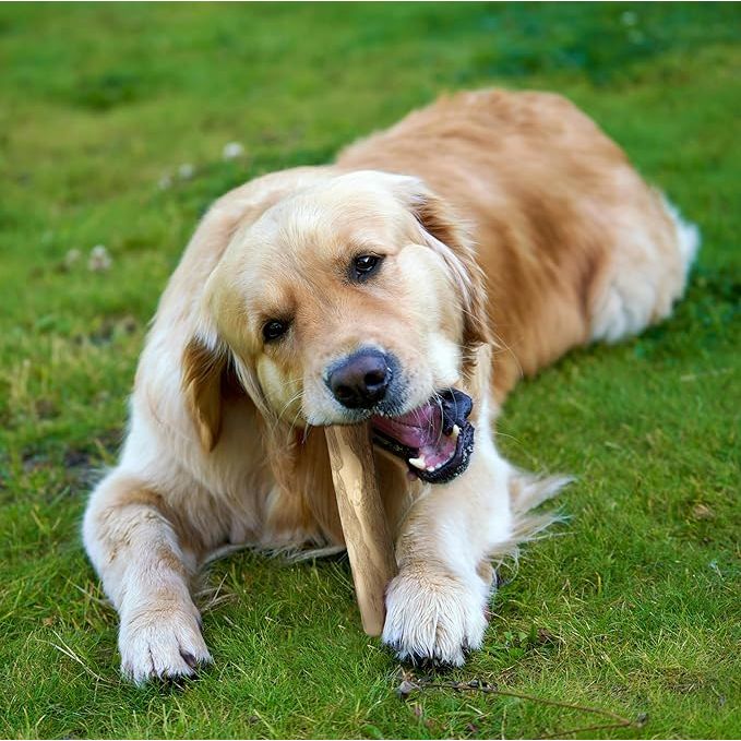 Fuzzl Dog Toy Olive Wood Stix