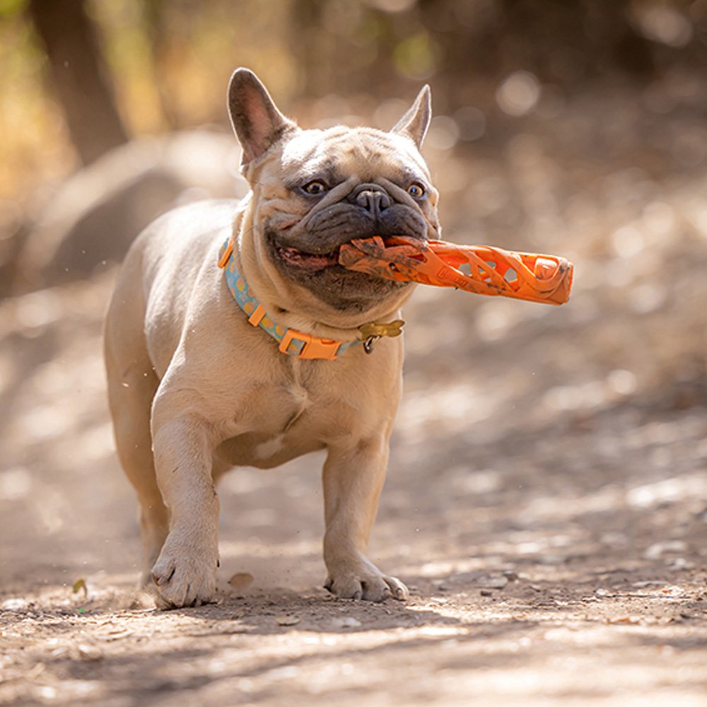 Chuckit! Dog Toy Air Fetch Stick Small