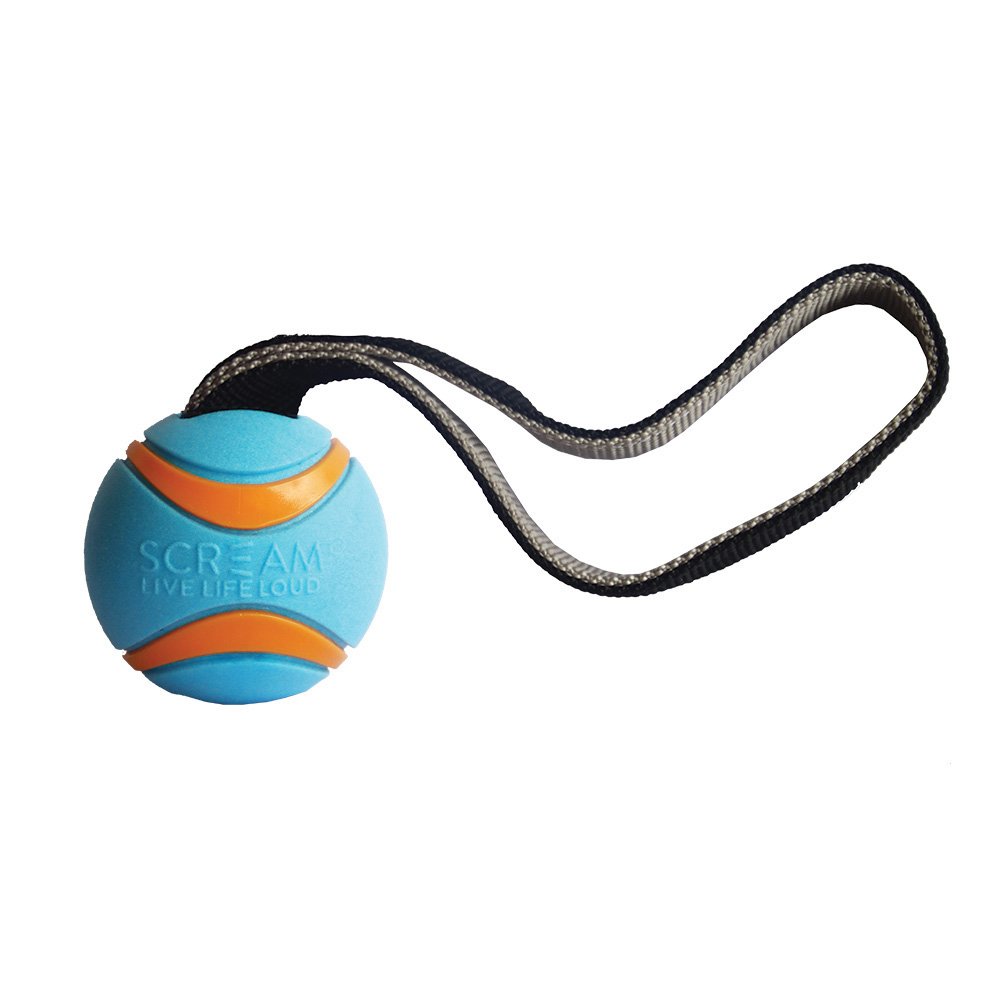 Scream Elite Ball Tug Loud Blue & Orange - Large