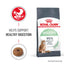 ROYAL CANIN Digestive Care Adult Dry Cat Food
