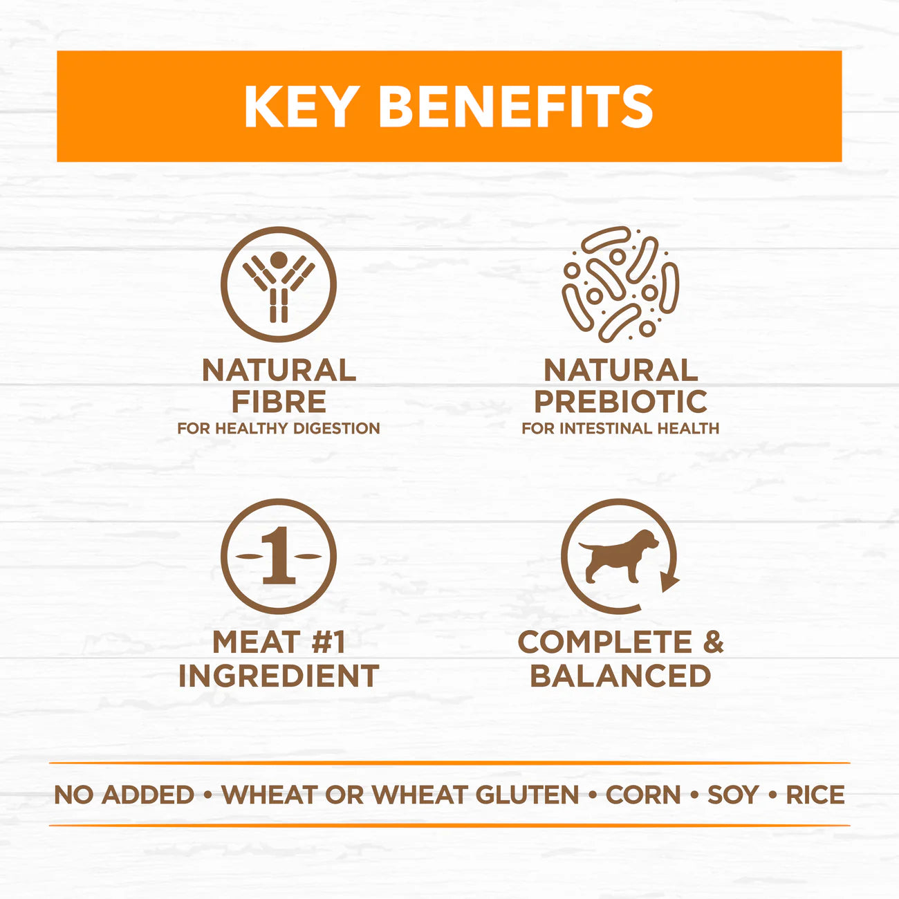 IVORY COAT - Grain Free Adult Wet Dog Food Chicken Stew