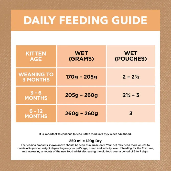 IVORY COAT - Grain Free Kitten Wet Cat Food Chicken in Gravy