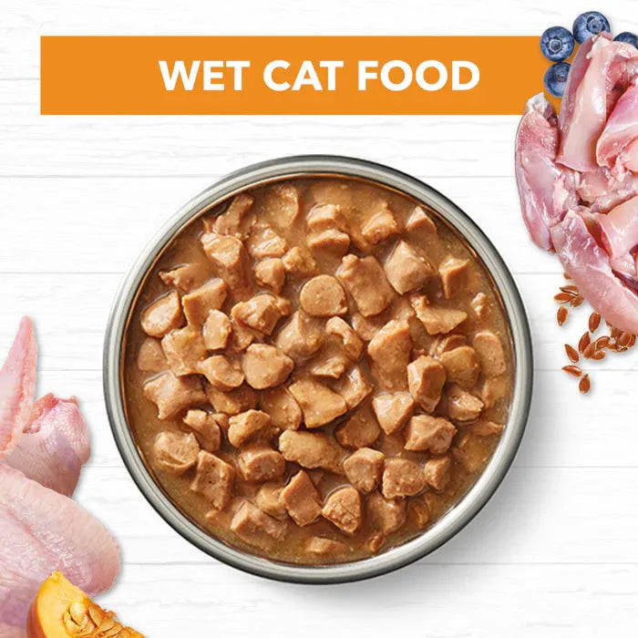 IVORY COAT - Grain Free Kitten Wet Cat Food Chicken in Gravy
