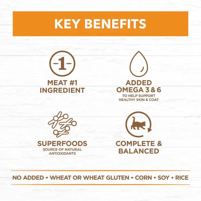 IVORY COAT - Grain Free Kitten Wet Cat Food Chicken in Gravy