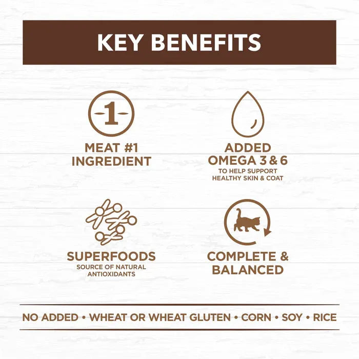 IVORY COAT - Grain Free Adult Wet Cat Food Chicken & Kangaroo in Gravy