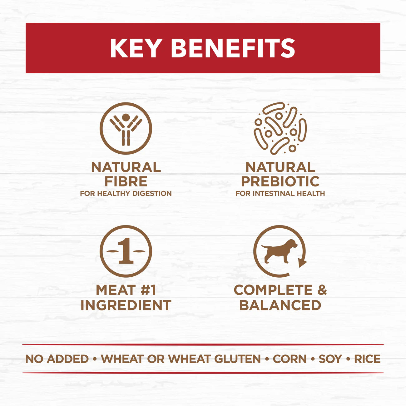 IVORY COAT - Grain Free Adult Wet Dog Food Beef Stew