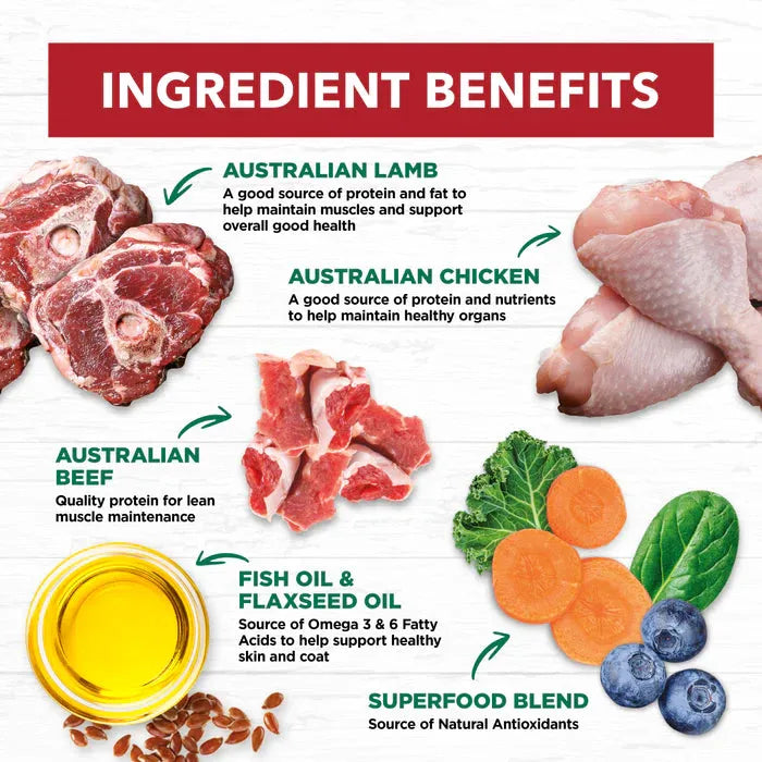 IVORY COAT GRAIN FREE ADULT WET CAT FOOD CHICKEN, BEEF & LAMB IN GRA