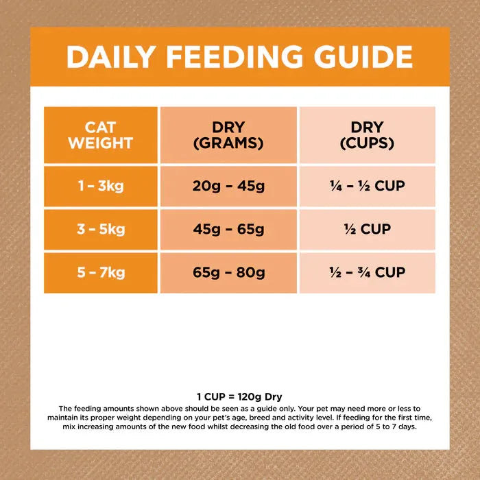 IVORY COAT - Grain Free Adult Dry Cat Food Chicken