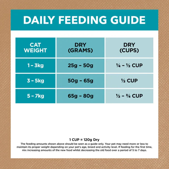 IVORY COAT - Grain Free Adult Dry Cat Food Oceanfish & Salmon